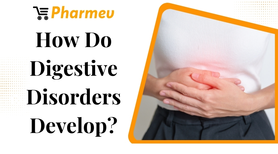 How Do Digestive Disorders Develop?
