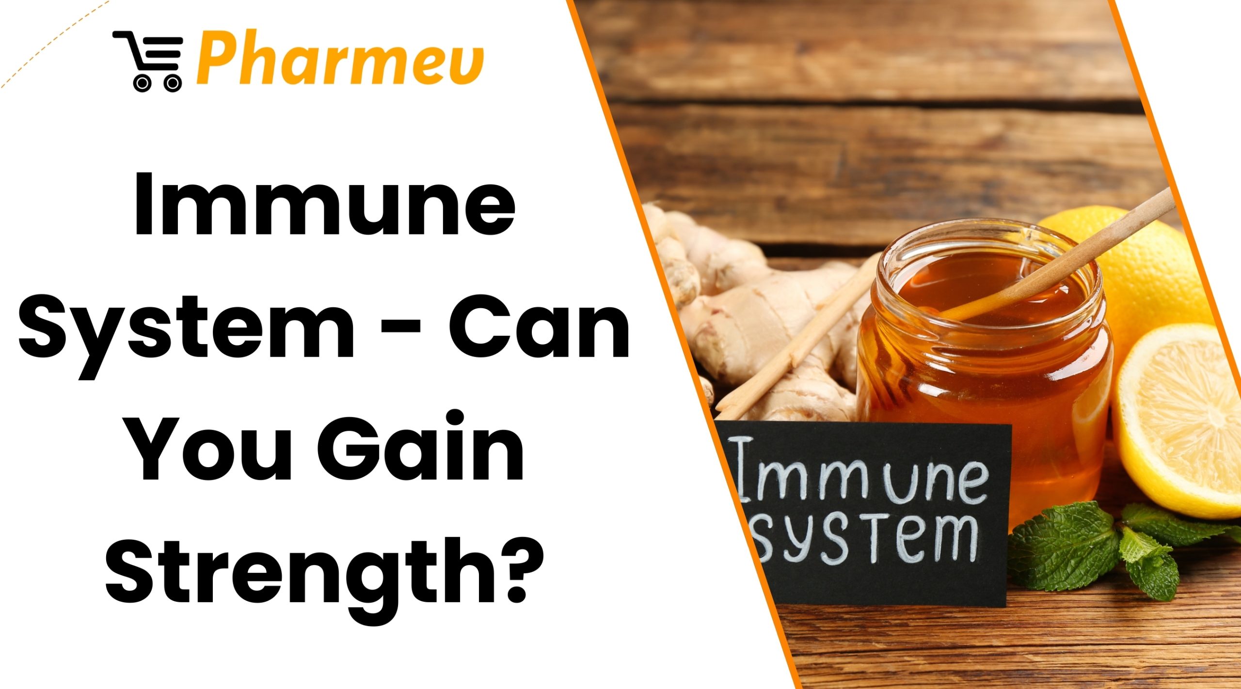 Immune System - Can You Gain Strength?
