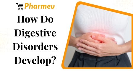 How Do Digestive Disorders Develop? 