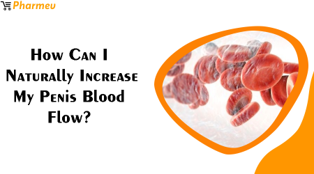 How Can I Naturally Increase My Penis Blood Flow? 